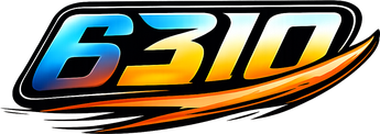 6310